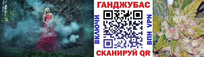 магазин  наркотиков  Алексеевка  сайты даркнета формула  Бошки марихуана гибрид 