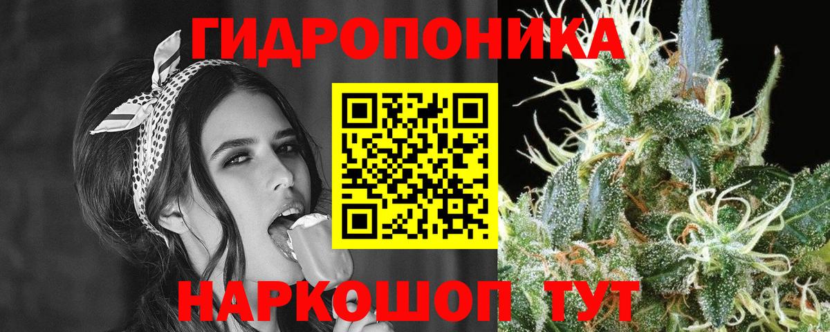 Канабис сатива Алексеевка